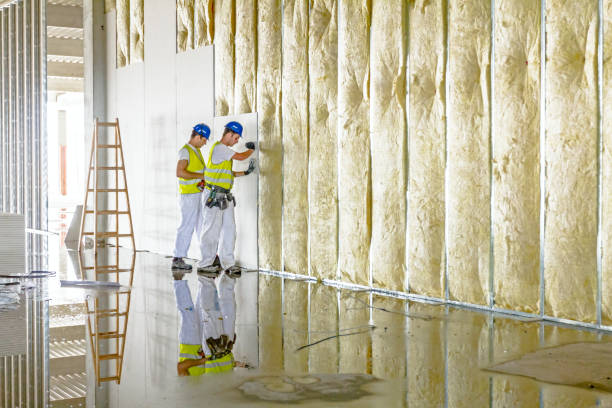 Best Insulation Maintenance and Repair in Moodys, OK